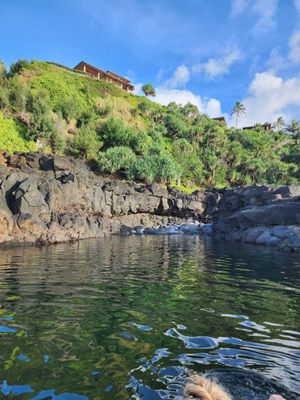 QUEEN’S BATH - Updated July 2025 - 914 Photos & 346 Reviews - Kapiolani ...