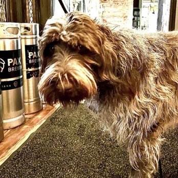 Pax Verum Brewing - Breweries Near Me - Lapel, Indiana