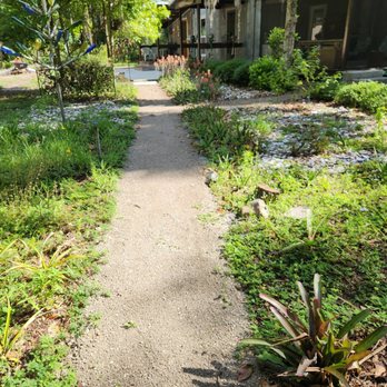 Central Land Solutions - Front walkway. - Tree Services Near Me - Chuluota, Florida Central Land Solutions - Front walkway. - Tree Services Near Me - Chuluota, Florida