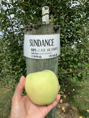 Wilson's Orchard & Farm (Iowa City) by null
