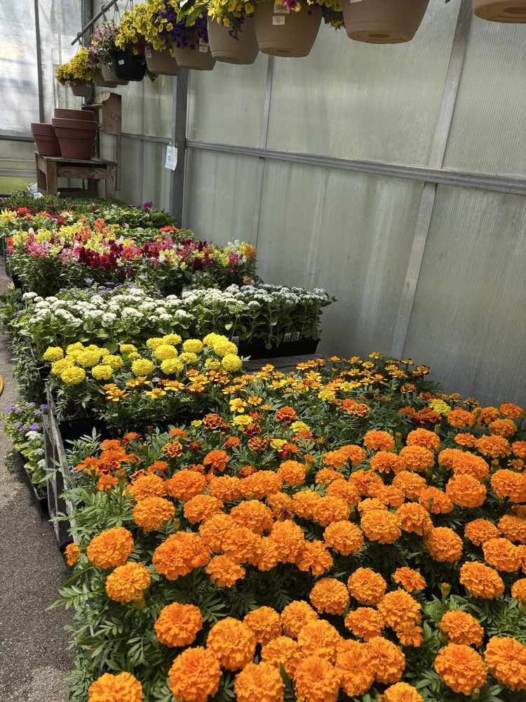 Masterson's Garden Center & Aquatic Nursery - beekeeping in East Aurora, NY