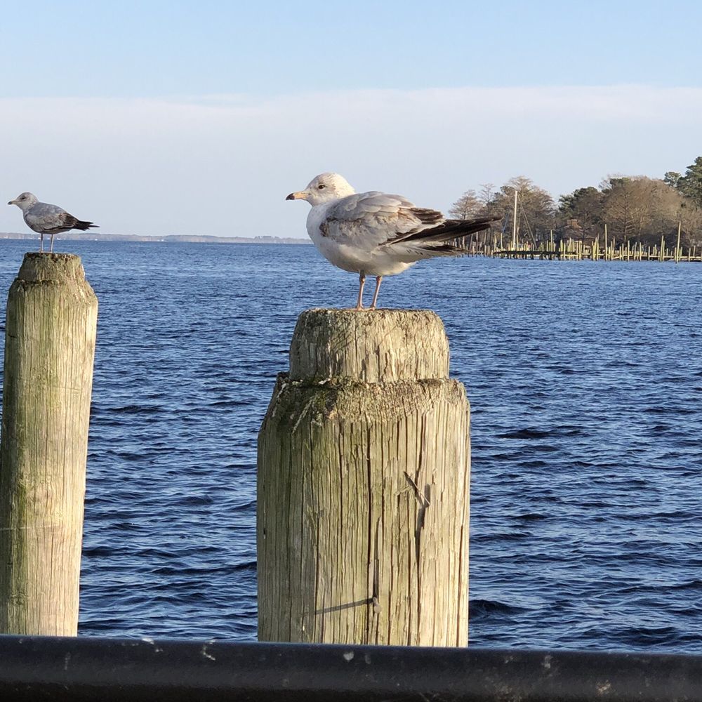 Waterfront Park - Parks Near Me Waterfront Park - Parks Near Me