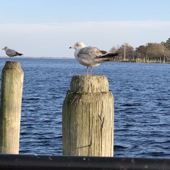 Waterfront Park - Parks Near Me Waterfront Park - Parks Near Me