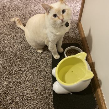 Wash & Wags - Pet Sitting Near Me - Grand Rapids, Michigan Wash & Wags - Pet Sitting Near Me - Grand Rapids, Michigan