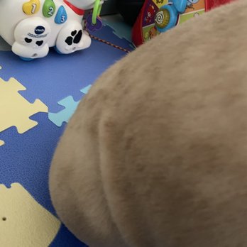 Dog House Miami - Pet Sitting Near Me - Miami Lakes, Florida