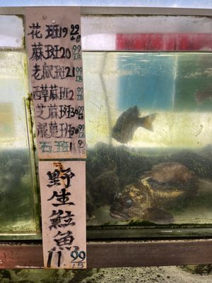 M. P. Seafood Market by null