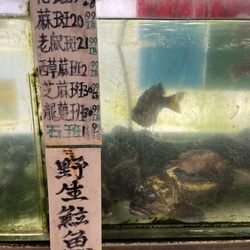 M & P Seafood Market