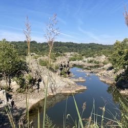Billy Goat Trail - Section  A - A quieter Potomac River
