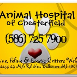 Animal Hospital of Chesterfield - Animal Hospital of Chesterfield