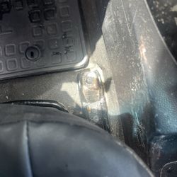 Octopus Car Wash