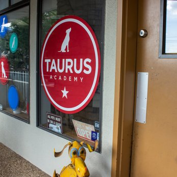 Taurus Academy Metric - Pet Training Near Me - Austin, Texas