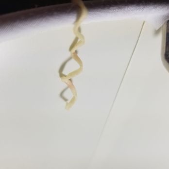 TownePlace Suites Seguin - Ramen noodle on lamp shade. (Room not thoroughly cleaned before our stay) - Hotels Near Me - Seguin, Texas TownePlace Suites Seguin - Ramen noodle on lamp shade. (Room not thoroughly cleaned before our stay) - Hotels Near Me - Seguin, Texas