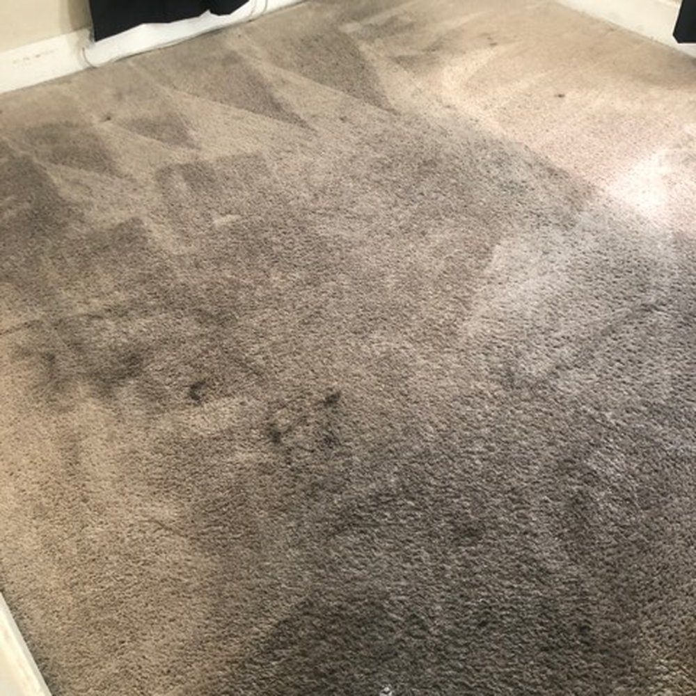 SD Carpet Care - Carpet Cleaning Near Me SD Carpet Care - Carpet Cleaning Near Me