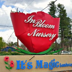 In Bloom Nursery - In Bloom is clearly visible from White Mountain Blvd.