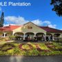 Photo of Hi Private Tours