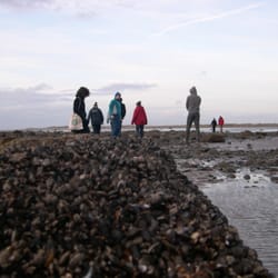 bridge house - The gang on the beach