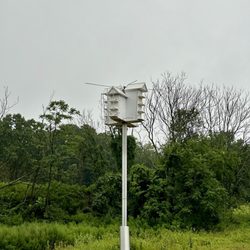Big Brook County Park - Birdhouses