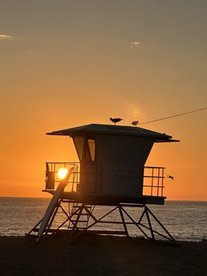 Fletcher Cove Beach Park by null