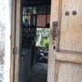 Photo of Escarola