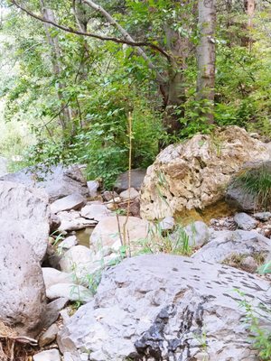 Pine Flat Campground by null