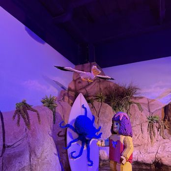 Sea Life Aquarium - Lego surfer girl - Aquariums Near Me - Carlsbad, California Sea Life Aquarium - Lego surfer girl - Aquariums Near Me - Carlsbad, California