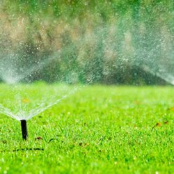 Rich's Irrigation Solutions