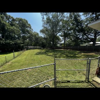 Delgado Solutions - Lawn Services Near Me