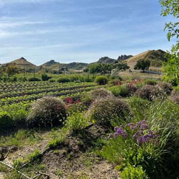 Malibu Wine Hikes - Hiking Near Me - Malibu, California Malibu Wine Hikes - Hiking Near Me - Malibu, California