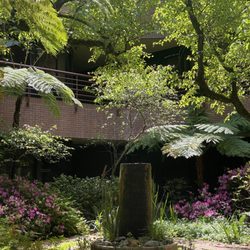Santa Rosa Therapeutic Bodyworks - Beautiful space outside of Santa Rosa Therapeutic Bodyworks
