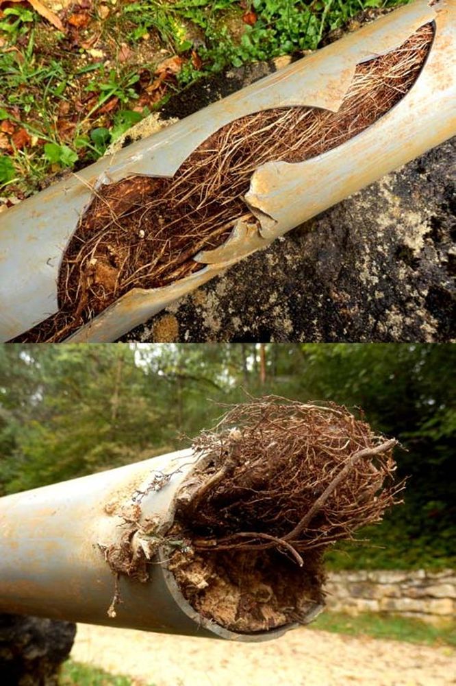 Slide of Austin Drain Cleaning