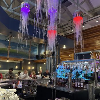 Hook & Barrel - Jellyfish lighting - Seafood Near Me - Myrtle Beach, South Carolina Hook & Barrel - Jellyfish lighting - Seafood Near Me - Myrtle Beach, South Carolina