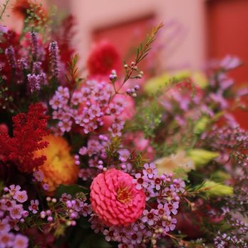 Les Fleurs du Jardin Célestin - Le Jardin Célestin - Automne 2018 - Florists Near Me - Lyon, 69