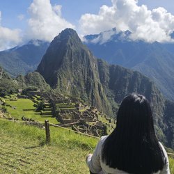 The Travel Yogi
