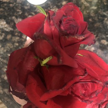 QG Floral & Landscape - Florists Near Me - Whitestone, New York QG Floral & Landscape - Florists Near Me - Whitestone, New York