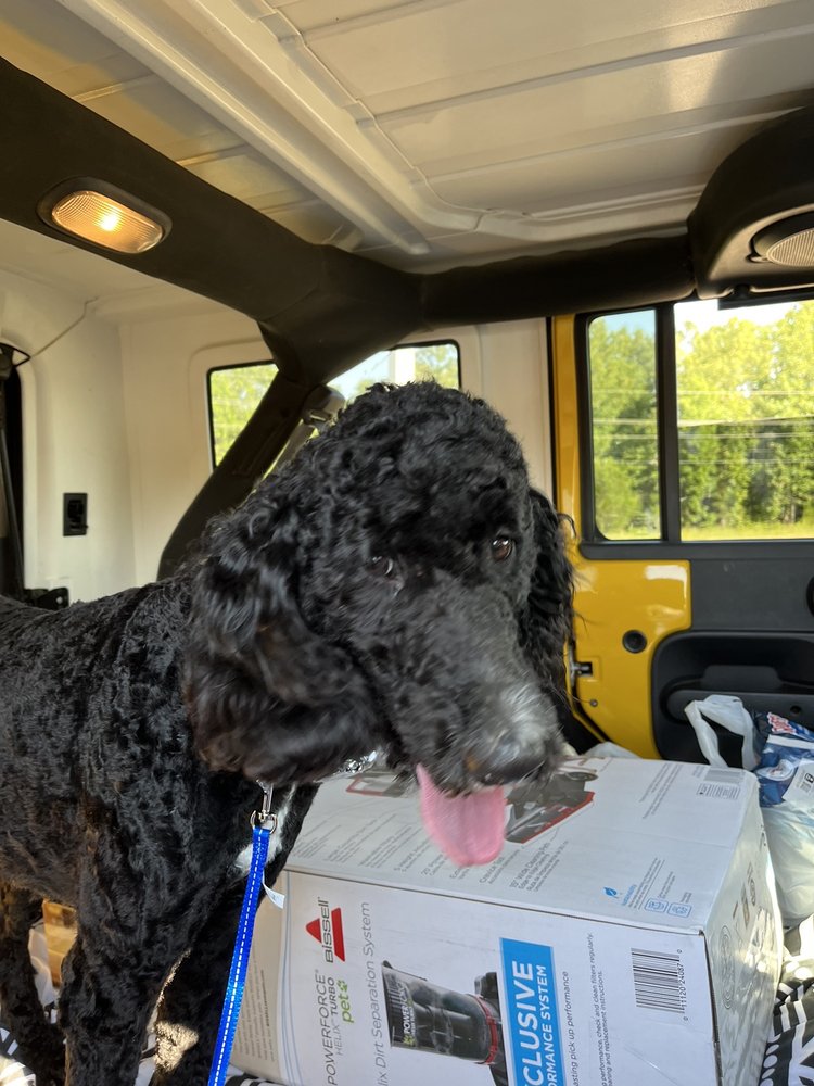 KAREN’S GROOMING & PET WASH Updated August 2024 2323 Highway 62 412