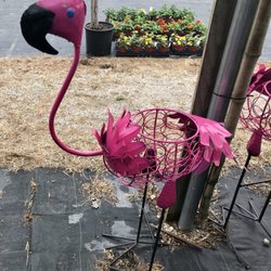 The Flower Bed - I want this cutie