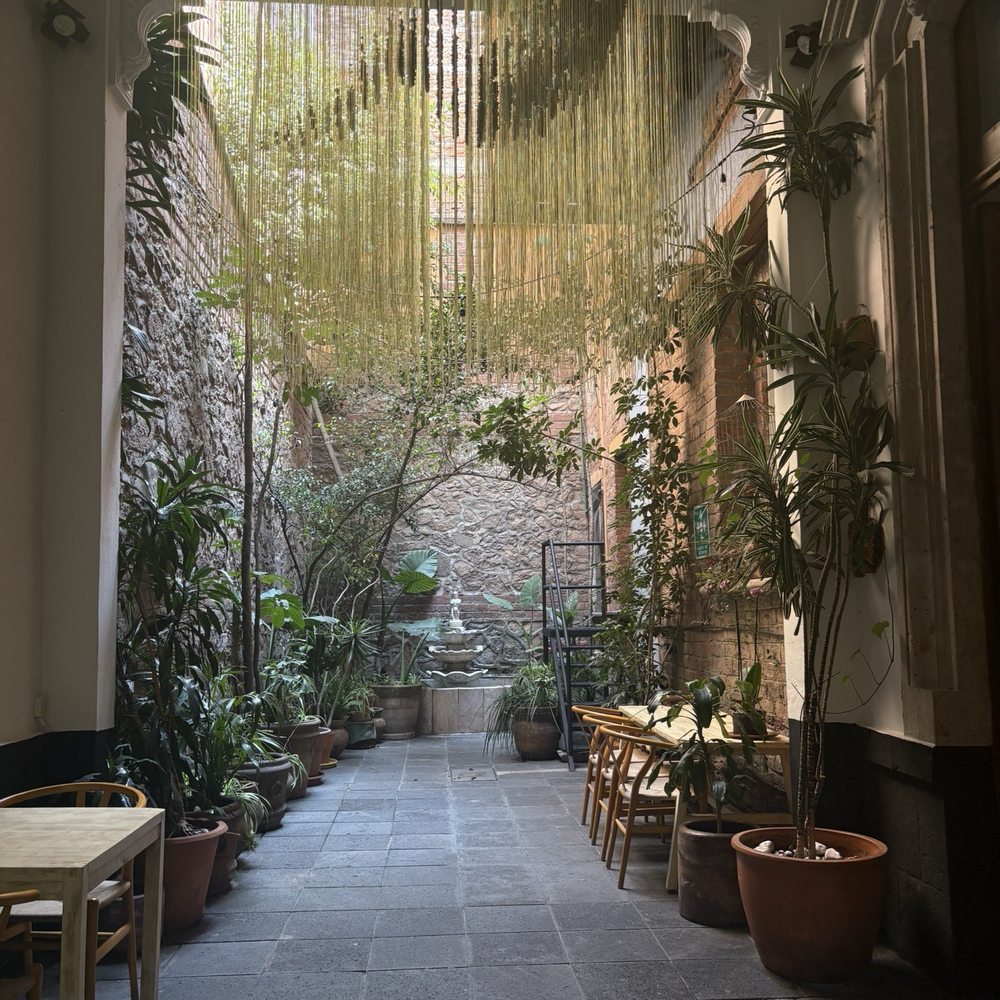 El Patio77 - Bed & Breakfast Near Me - México, D.F., DIF