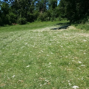 Bear Creek Golf Center - Lots of cotton wood on ground, bring colored balls. - Golf Near Me - Medford, Oregon Bear Creek Golf Center - Lots of cotton wood on ground, bring colored balls. - Golf Near Me - Medford, Oregon