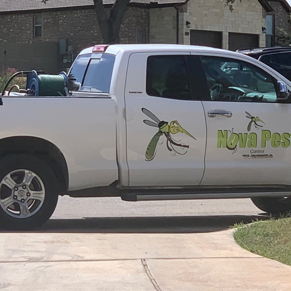 Nova Pest Control - Highly recommended. - Pest Control Near Me Nova Pest Control - Highly recommended. - Pest Control Near Me