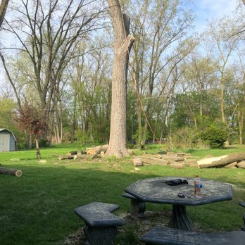 Adrian's Tree Service - Tree Services Near Me - Walled Lake, Michigan Adrian's Tree Service - Tree Services Near Me - Walled Lake, Michigan