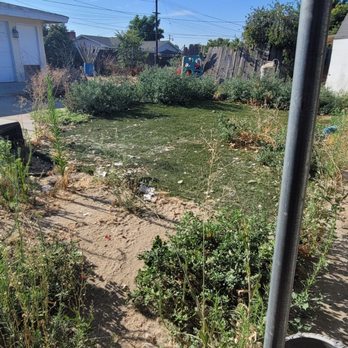 Roth Landscaping - Our weed infested backyard! - Landscaping Near Me Roth Landscaping - Our weed infested backyard! - Landscaping Near Me