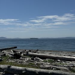 Lighthouse Marine Park - View from beach~