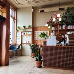 Modern Electric Lunch