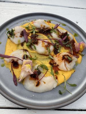 Barnegat Oyster Collective by null