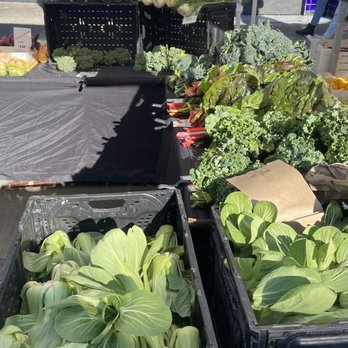 Luna Dorada Organic Farm - What a nice mix of vegetables all ready to hit a Wok ! Plus some gorgeous Fennel for a Salad! At the San Francisco Farmers Market. - Farmers Market Near Me Luna Dorada Organic Farm - What a nice mix of vegetables all ready to hit a Wok ! Plus some gorgeous Fennel for a Salad! At the San Francisco Farmers Market. - Farmers Market Near Me