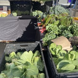 What a nice mix of vegetables all ready to hit a Wok ! Plus some gorgeous Fennel for a Salad! At the San Francisco Farmers Market.
