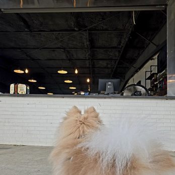 Andersons Eatery and Distillery - Outside Bar/ordering (pet friendly) - Whiskey Bars Near Me - Denton, Texas