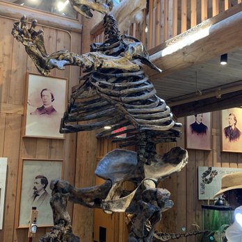 The Grove - Giant sloth - Landmarks & Historical Buildings Near Me - Glenview, Illinois
