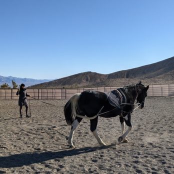 Rocking H Ranch - Boarders and their beauty in the arena - Horse Boarding Near Me - Las Vegas, Nevada Rocking H Ranch - Boarders and their beauty in the arena - Horse Boarding Near Me - Las Vegas, Nevada