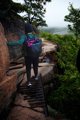 Beehive Trail by null